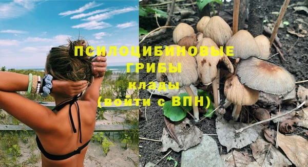 прущие крисы Балабаново