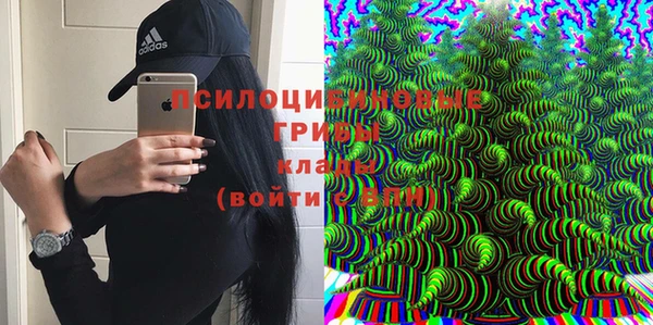 мяу мяу мука Баксан