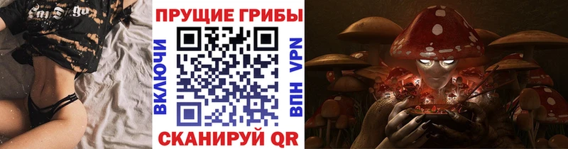 Галлюциногенные грибы Cubensis  купить наркоту  Николаевск-на-Амуре 